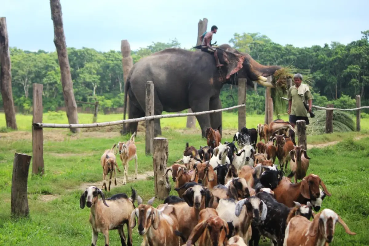 Culture and Nature Tour in Npeal