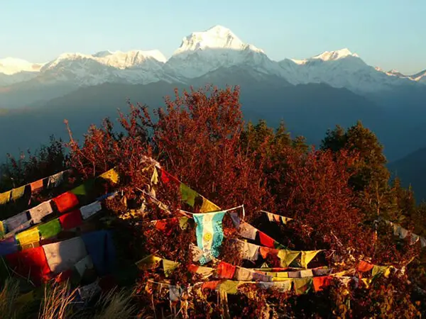 ghorepani-poonhill-trek