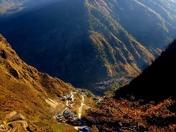 Tamang Heritage and Langtang Valley Trek - 12 Days