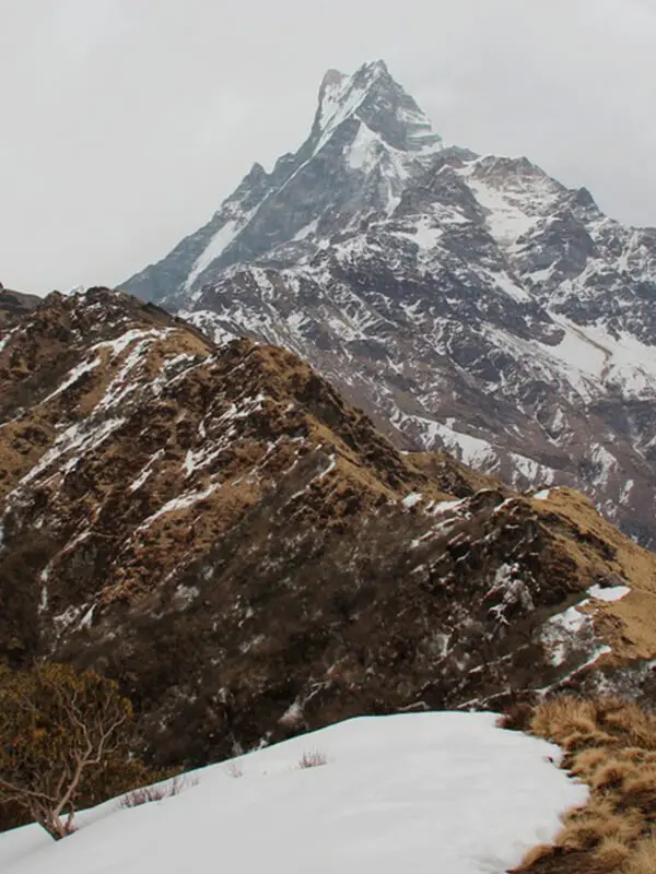 NP Skip navigation Search Create Avatar image Mardi Himal Trekking | Mardi Himal Trail in Nepal